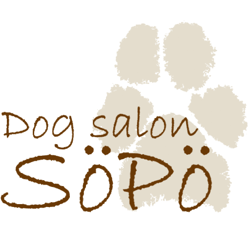 Dog salon Sӧpӧ